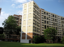 Blk 539 Hougang Street 52 (S)530539 #239642